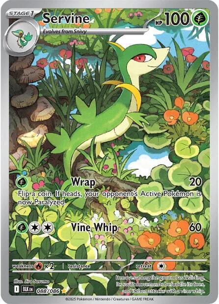 Servine #88 Pokemon Black Bolt (NM)